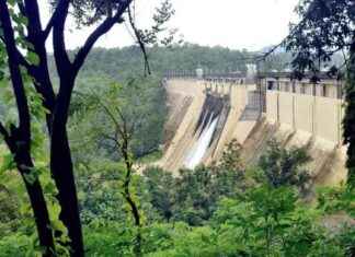 Optimal Water Levels Reached in Mumbai Lakes: 91.55% Capacity news-10082024-085927