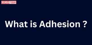 Understanding Adhesion in Mumbai Today: A Comprehensive Guide news-10082024-090043