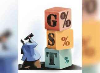 Special Drive by CBIC to Crack Down on Fake GST Registrations Starting August 16 news-12082024-232715