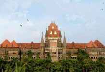 Legal Ruling: Egg Donor Not Biological Parent of Surrogate Child, Bombay High Court Decides news-13082024-233624