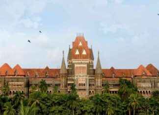 Legal Ruling: Egg Donor Not Biological Parent of Surrogate Child, Bombay High Court Decides news-13082024-233624