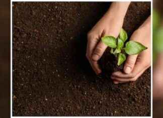 Setting Global Environmental Standards: BIS Launches New Department news-13082024-233758