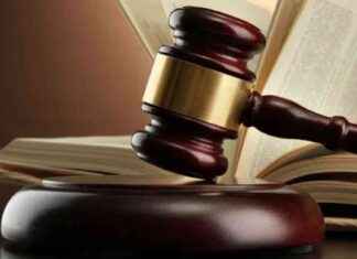 Legal Rights of Sperm Donors in Child Custody Cases: High Court Ruling news-15082024-173113