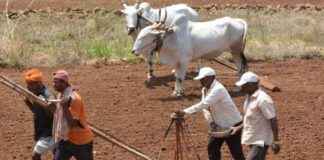 Mahayuti’s Populist Schemes Drain Funds, Maharashtra Farmers Owed ₹5,975 Crore news-19082024-225357