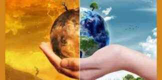 Long-Term Climate Planning in Mumbai: Expert Recommendations for Sustainable Future news-22082024-163948