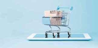 E-commerce Growth Driven by Low-Income Groups and Small Cities: Report news-23082024-235843