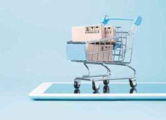 E-commerce Growth Driven by Low-Income Groups and Small Cities: Report news-23082024-235843