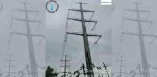 Fast Completion of 90-km Palghar-Panvel Power Transmission Corridor Project in 20 Months news-30082024-123943