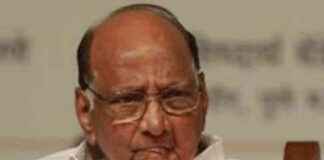 Sharad Pawar: MVA Doesn’t Need CM Face in Maharashtra Elections news-04092024-130031