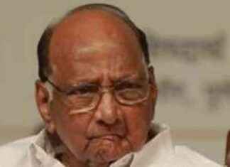 Sharad Pawar: MVA Doesn’t Need CM Face in Maharashtra Elections news-04092024-130031