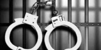 Horse Owner Booked After 35-Year-Old Knocked Down in Thane, Suffers Serious Injuries news-10092024-123225