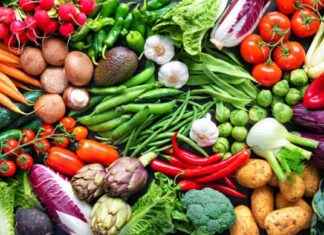 Mumbai Vegetable Prices Surge Due to Supply Shortages news-13092024-053910