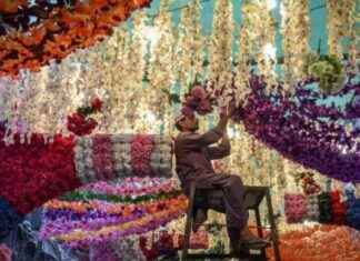 Eid-e-Milad Celebration on Sept 18: Mumbai Civic Body Offices and Schools to Operate Normally news-14092024-193406