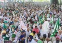 Farmers’ Stand at Kisan Mahapanchayat: Neutral Stance in Election Support news-15092024-235217