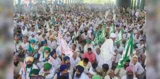 Farmers’ Stand at Kisan Mahapanchayat: Neutral Stance in Election Support news-15092024-235217