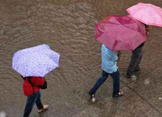 Severe Weather Alert: Yellow Alert for Marathwada and Vidarbha in Maharashtra; Mumbai Rains Forecast news-18092024-011203