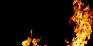 Car Fire on Eastern Express Highway in Thane: Occupants Safe news-22092024-093601