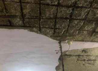 Tragic Incident in Thane: 5-Year-Old Girl Killed, Three Injured in Maharashtra news-22092024-214332