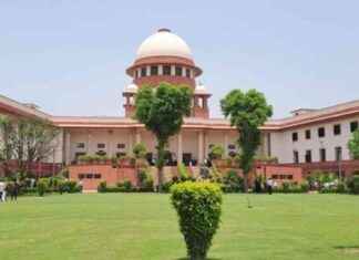 SC to Hear Kolkata Doctor Rape-Murder Case Plea on October 1 news-23092024-095435