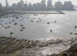 Revitalization Plans Approved for Marina, Beaches, and Link Roads at Backbay Reclamation news-25092024-174527