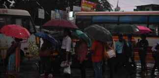 IMD Issues Red Alert for Mumbai and Thane, Orange Alert for Palghar news-25092024-174558