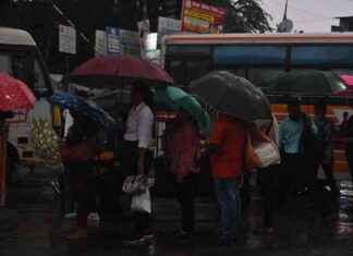 IMD Issues Red Alert for Mumbai and Thane, Orange Alert for Palghar news-25092024-174558