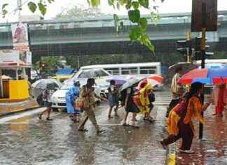 Heavy Rainfall Forecast for Mumbai and Thane Until September 26 news-26092024-052653