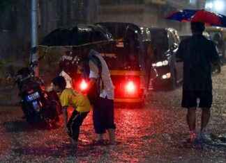 Mumbai Rain Updates: 4 Dead, Transportation Services Resumed | 10 Points news-26092024-093413