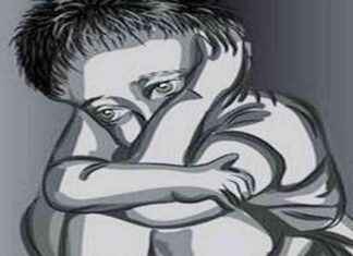 Protecting Children: Maharashtra Urges Safety Officer at All Police Stations news-27092024-214823