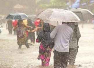 Monsoon Season Ends with 8% Surplus Rain; Most Successful Year Yet news-30092024-224246