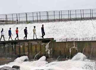 Addressing Mumbai’s Water Loss: BMC Reports 34% Loss Despite NRW Improvement news-04102024-062104