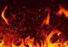 Tragic Fire in Chembur Shop Claims 7 Lives, Including 3 Children news-06102024-095916