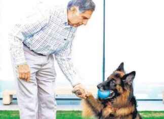 Ratan Tata’s Last Project: Small Animal Hospital in Mumbai news-09102024-225330