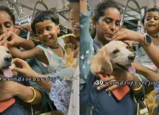 Pet Dog Travels on Mumbai Local: Heartwarming Video Shows Passengers’ Pawsitive Reactions news-11102024-233323
