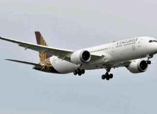 Flight from Frankfurt to Mumbai on Vistara Airlines Receives Bomb Threat news-17102024-094009
