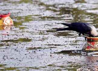 Exploring Mumbai: Monday Highlights and Events news-21102024-045013