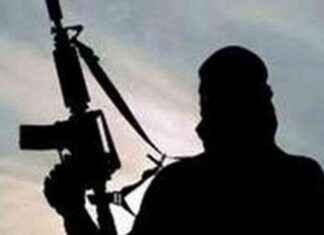 Five Maoists Killed in Armed Encounter in Gadchiroli: Police news-21102024-225445