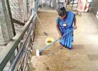 Revitalizing Neglected Railway Areas in Maharashtra: CR’s Special Clean-Up Initiative news-26102024-001142