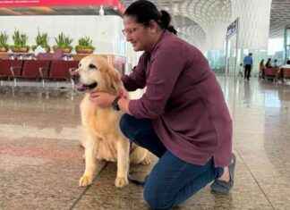 Emotional Support Dogs at Mumbai Airport: Easing Passenger Stress news-28102024-185247