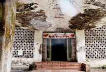 Improving Conditions at Aarey Hospital in Mumbai: Dairy Department Takes Action news-29102024-065541