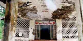 Improving Conditions at Aarey Hospital in Mumbai: Dairy Department Takes Action news-29102024-065541