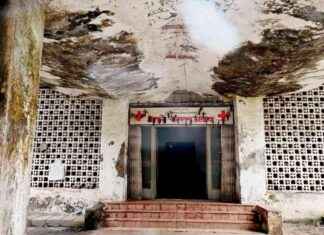 Improving Conditions at Aarey Hospital in Mumbai: Dairy Department Takes Action news-29102024-065541