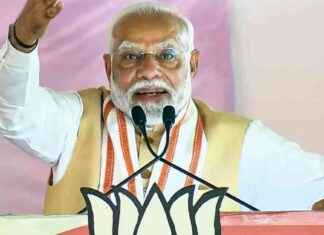 PM Modi challenges Congress on caste politics at Maharashtra polls rally news-08112024-222014