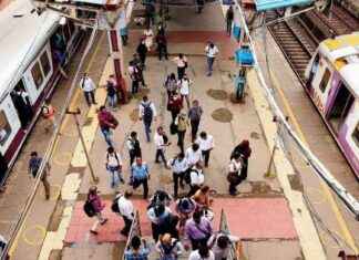 Mumbai Local Train Updates: Central Railway Mega Block on Sunday, Check Details news-09112024-042338