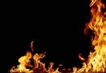 Fire Incident on Grass near Kasara Railway Tracks in Maharashtra: Causes and Impact news-10112024-043122