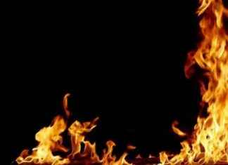 Fire Incident on Grass near Kasara Railway Tracks in Maharashtra: Causes and Impact news-10112024-043122