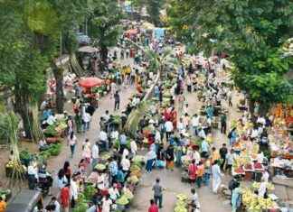 Borivali Hawker Market Impact: BEST Buses Diverted due to Crowds news-12112024-085615