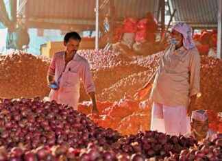 Crackdown on Onion Price Hoarders Initiated by CM Eknath Shinde news-16112024-062845