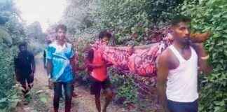 Tragic Deaths of Two Tribal Women in Pen Taluka Highlight Urgent Need for Road Access news-17112024-123400