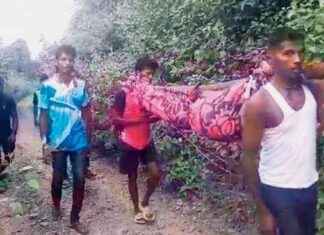 Tragic Deaths of Two Tribal Women in Pen Taluka Highlight Urgent Need for Road Access news-17112024-123400